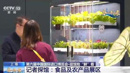 不再只是玉米和白菜 ? ? ? ?  記者在“四葉草”發現，進博會 “養成”的農業未來想象體綜合體驗 \u3010\u4eca\u5c4a\u6295\u505c\u7576\u201centailles =Bags +？} iThink？