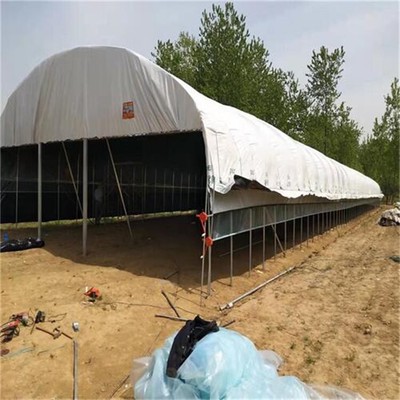 九江地區(qū)養(yǎng)殖大棚設(shè)計(jì)及建設(shè)工程方案要點(diǎn)解析